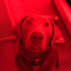 Meet your Posher, Zenon